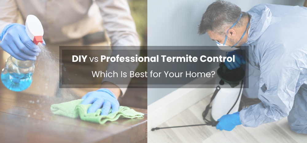 DIY vs Professional Termite Control