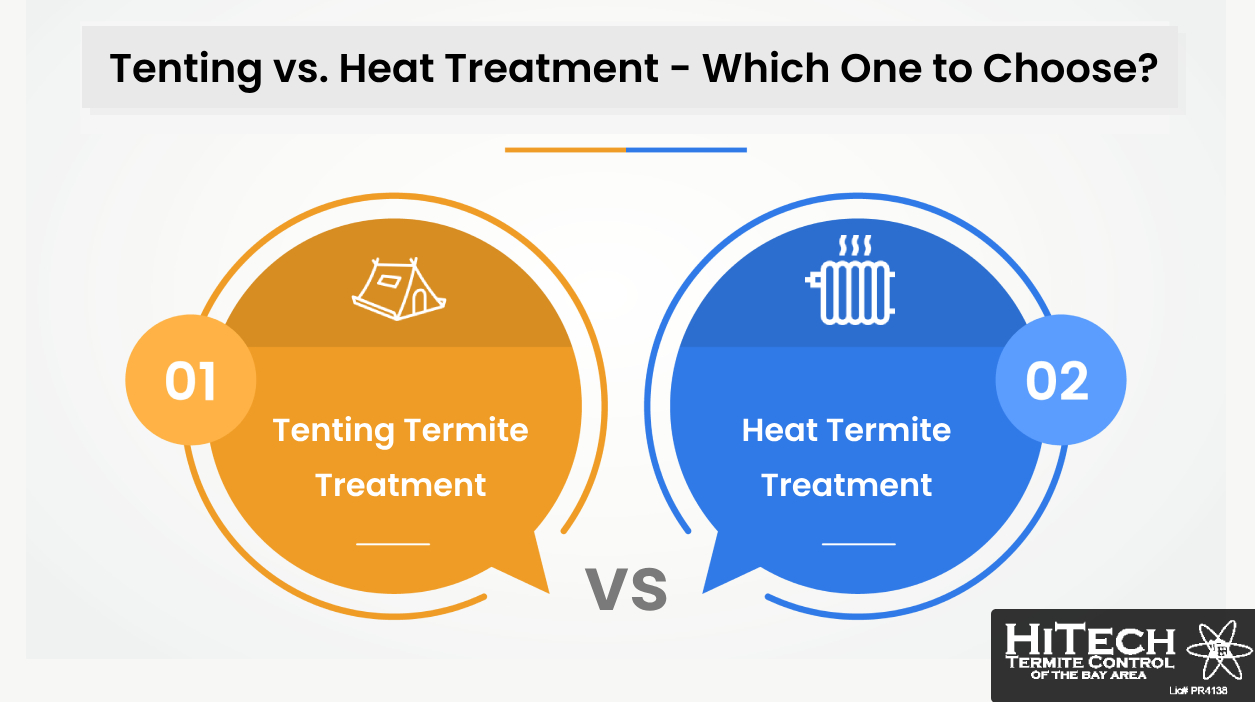 Pros and Cons of Tenting vs. Heat Termite Treatment