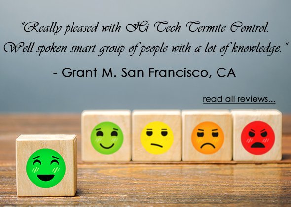 Client Review - Grant M - San Francisco, CA